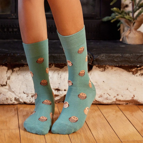 Socks That Protect Owls - You're A Hoot - India