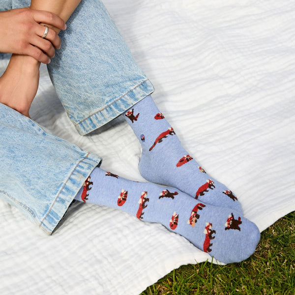 Socks That Protect Red Pandas - India