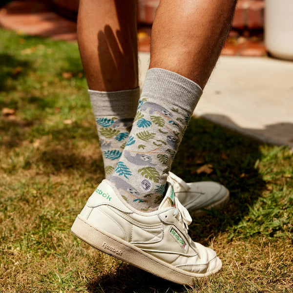 Socks That Protect Sloths - India