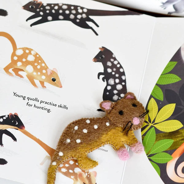 Illustrated book page with quoll illustrations and text, featuring a felt finger puppet quoll.