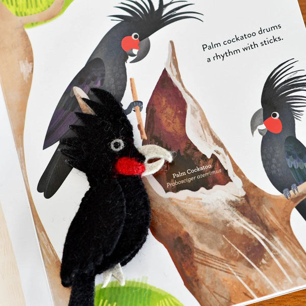 Black felt finger puppet palm cockatoo with a book about palm cockatoos in the background.