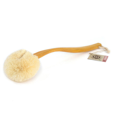 Eco Max Back Brush - Long Handle, Sri Lanka