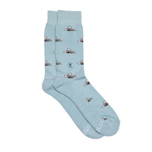 Socks That Protect Koalas - India