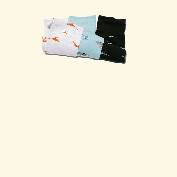 Wildlife Warrior Socks Collection - India